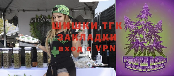 сатива Богородицк