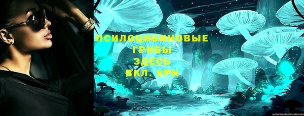 сатива Богородицк