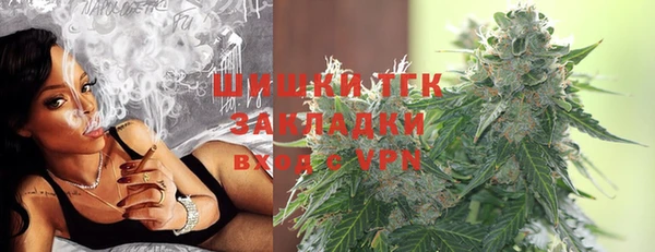 сатива Богородицк