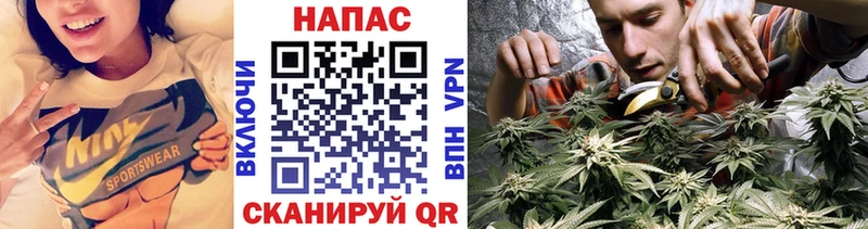Шишки марихуана SATIVA & INDICA  сколько стоит  Вуктыл 